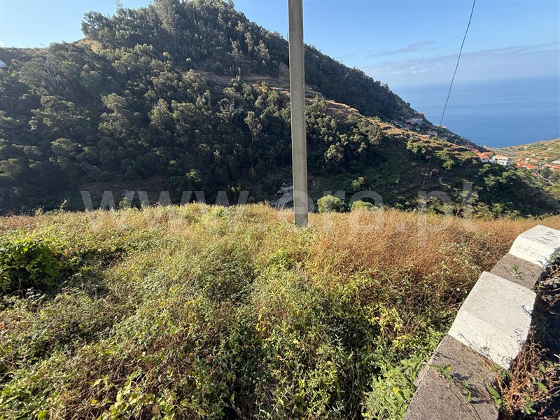 Terreno  Ribeira Brava, Campanário - 1501742 - 10