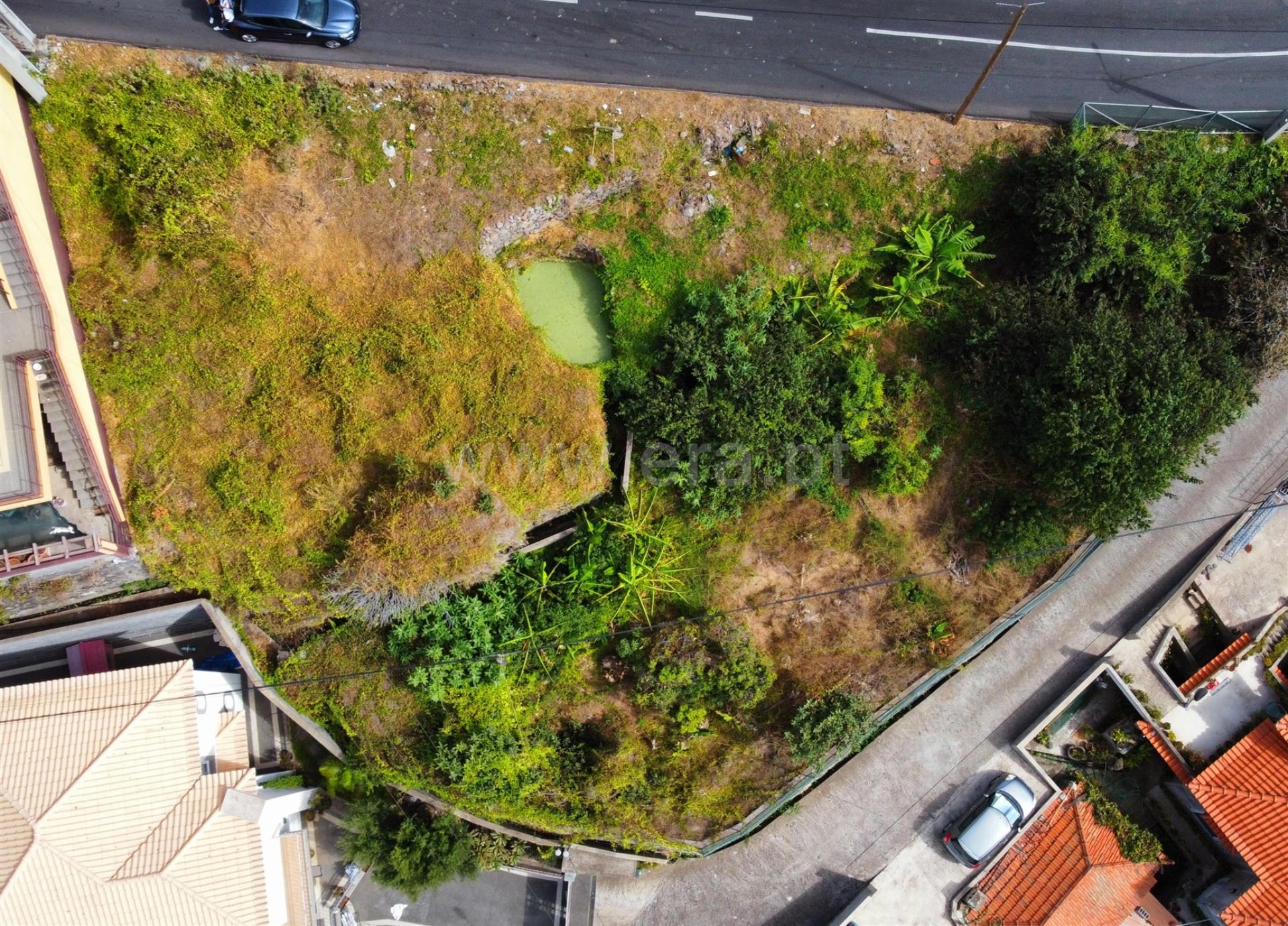Land for sale in Ribeira Brava, Portugal — €85,000