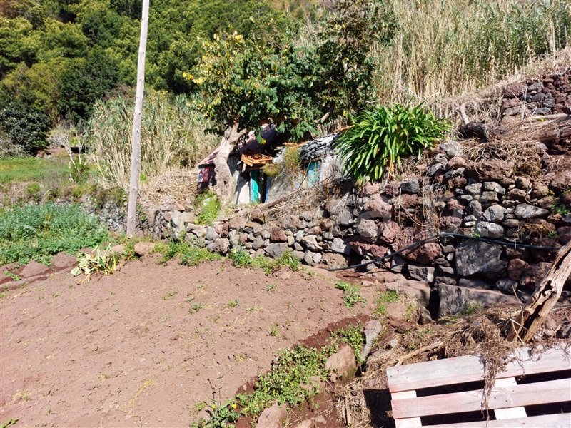 Terreno  Ribeira Brava, Tabua - 1320662 - 1
