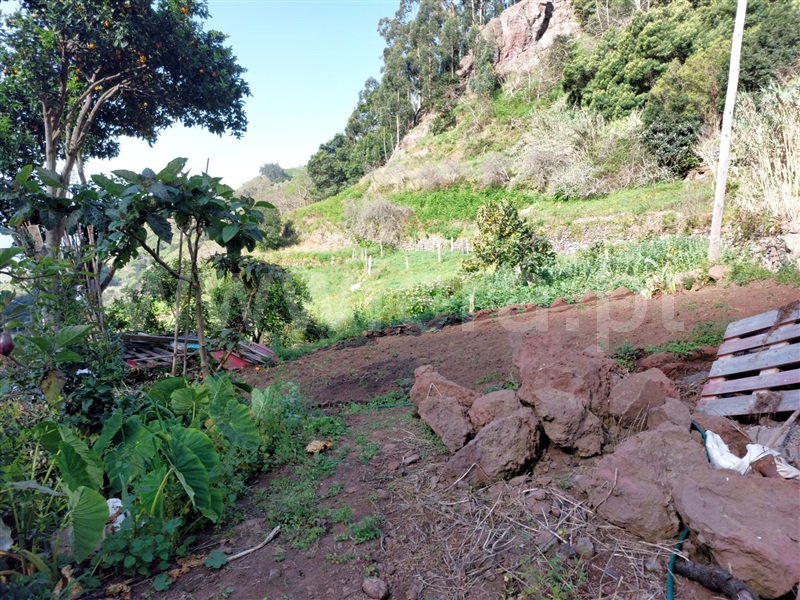 Terreno  Ribeira Brava, Tabua - 1320662 - 5