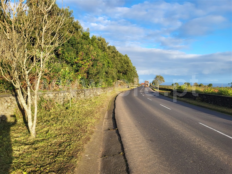 Terreno / Ribeira Grande, Pico da Pedra