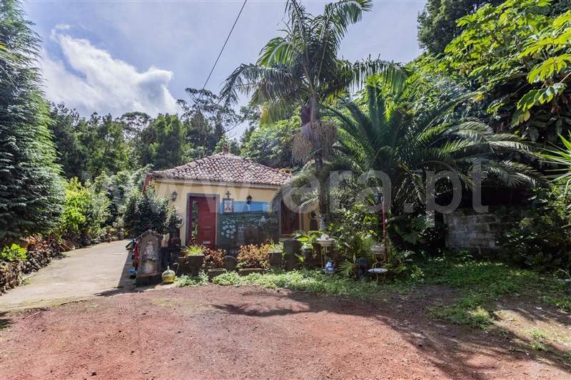 Terreno / Ribeira Grande, Ribeira Grande (Conceição)