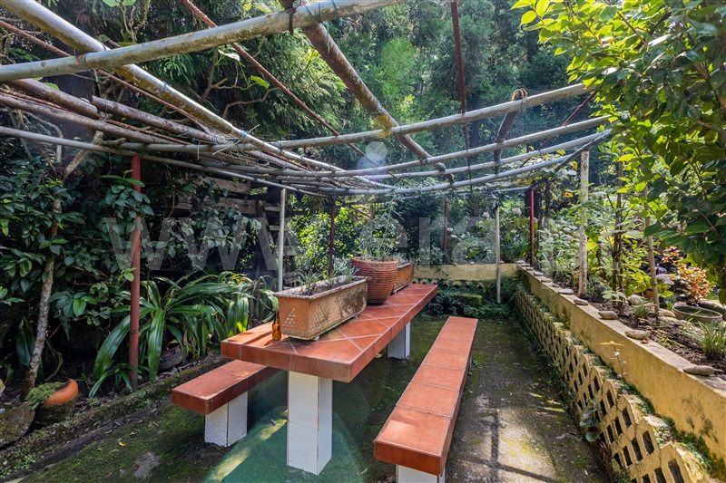 Terreno  Ribeira Grande, Ribeira Grande - 1349206 - 23
