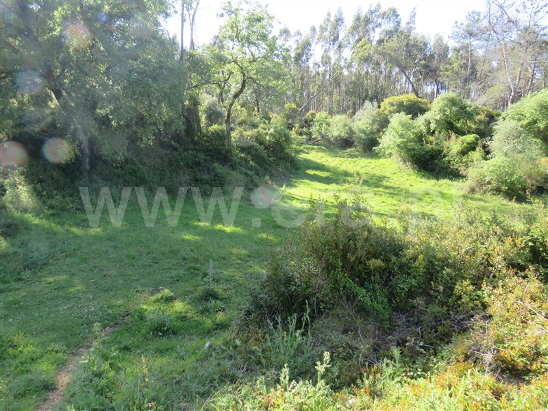 Terreno  Rio Maior, Alto da Serra - 1245650 - 2