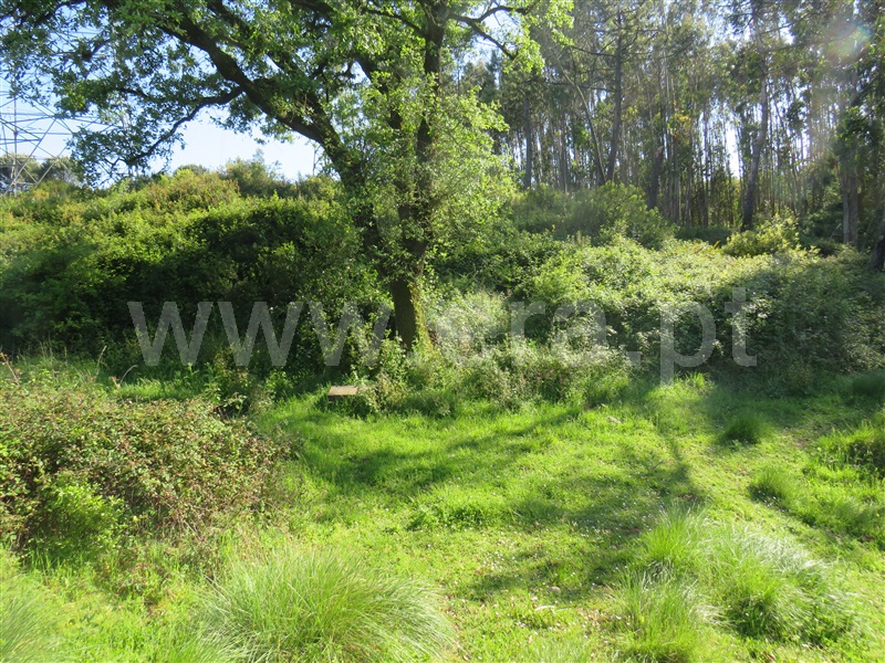 Terreno  Rio Maior, Alto da Serra - 1245650 - 3