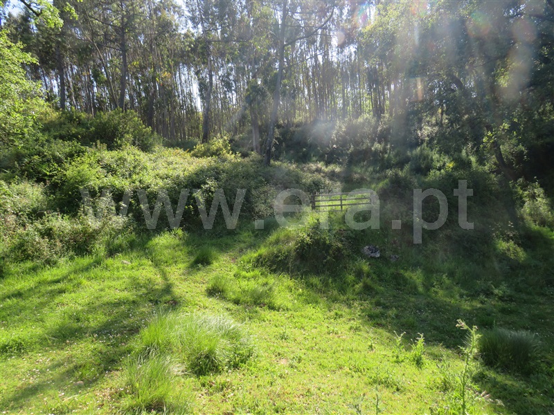 Terreno  Rio Maior, Alto da Serra - 1245650 - 4