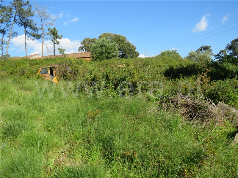 Terreno  Rio Maior, Alto da Serra - 1245650 - 5
