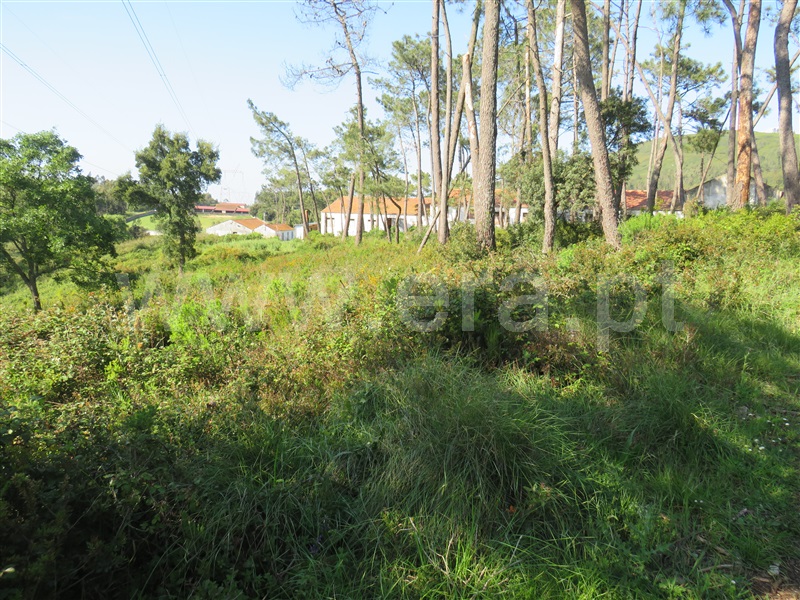 Terreno  Rio Maior, Alto da Serra - 1245650 - 6