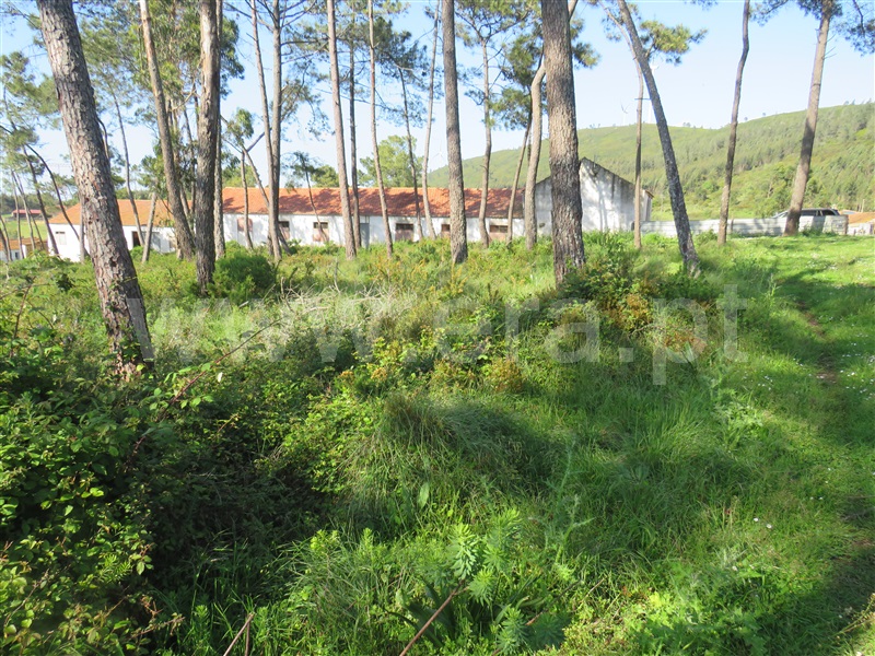 Terreno  com Urbano Rio Maior, Alto da Serra - 1245650 - 8