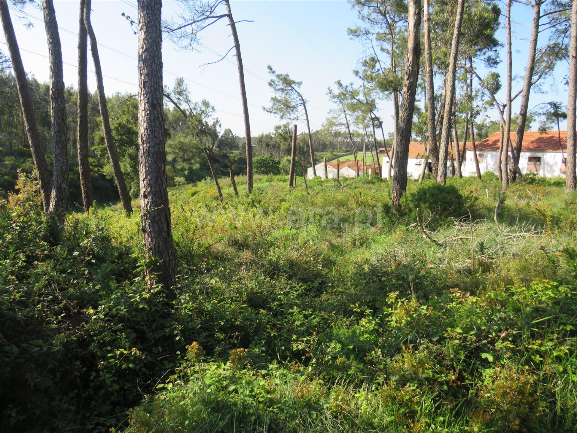 Land for sale in Rio Maior, Portugal — €77,500