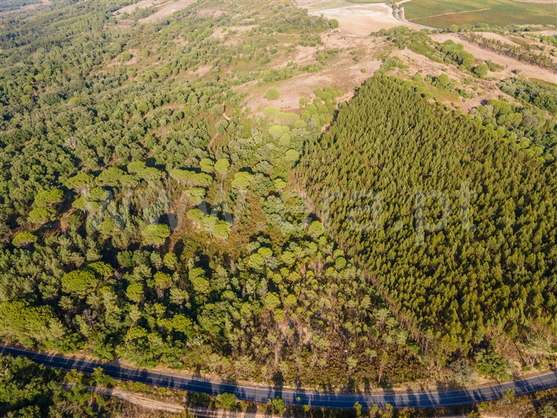 Terreno  Rio Maior, Arrouquelas - 1149854 - 2