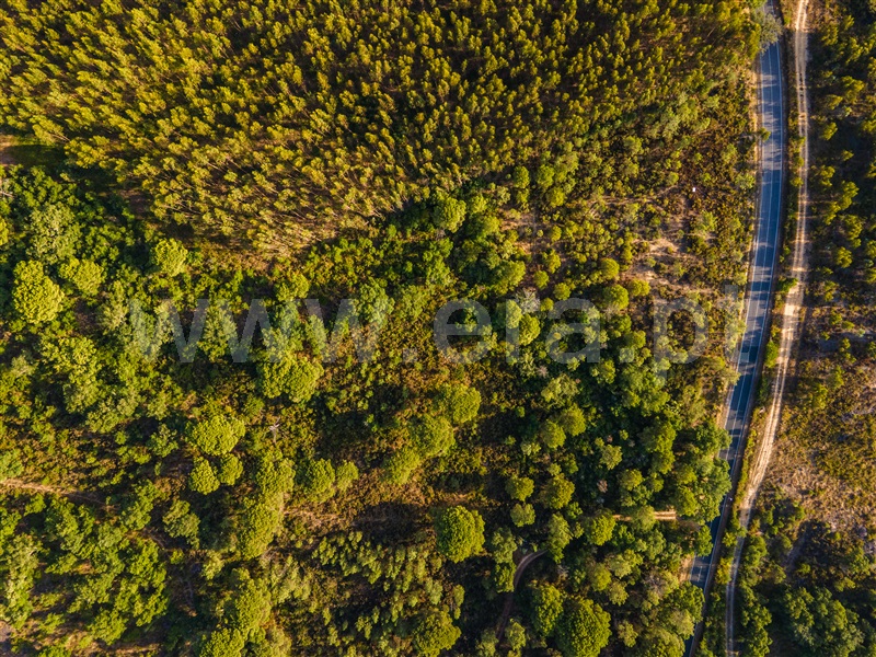 Terreno  Rio Maior, Arrouquelas - 1149854 - 4