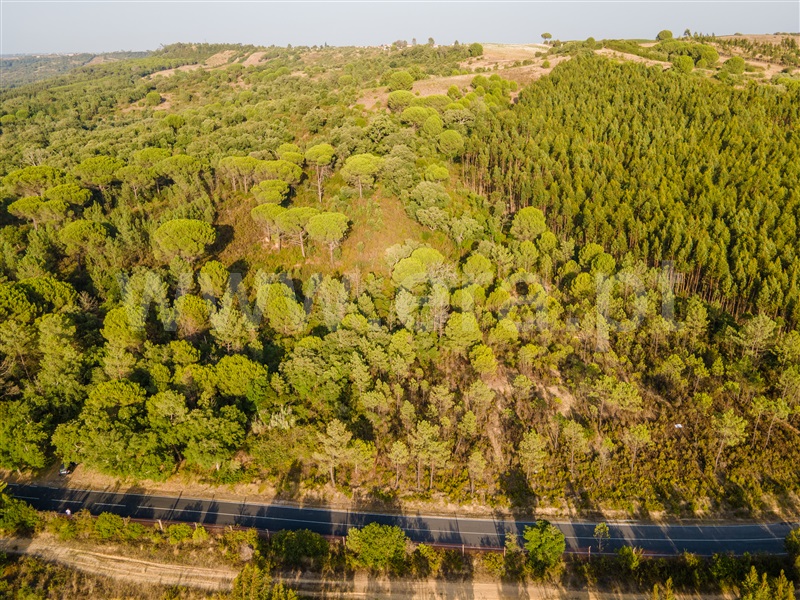 Terreno  Rio Maior, Arrouquelas - 1149854 - 6
