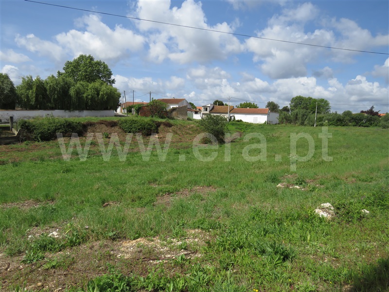 Terreno  Rio Maior, Arrouquelas - 1164267 - 3