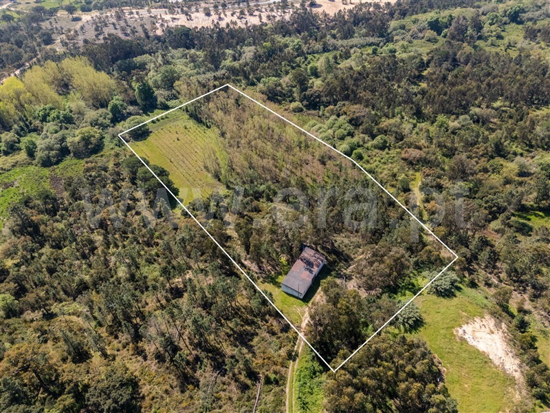 Terreno / Rio Maior, Arrouquelas