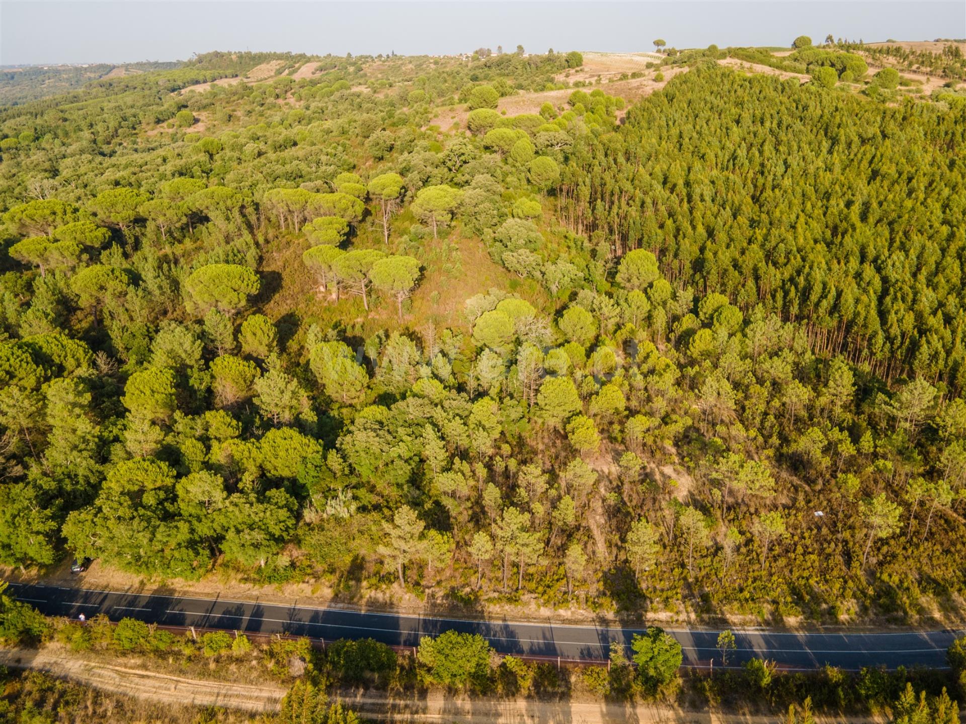 Land for sale in Rio Maior, Portugal — €200,000