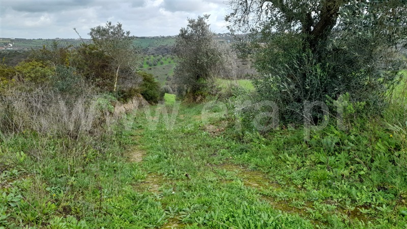 Terreno  Rio Maior, Azambujeira - 1295042 - 2