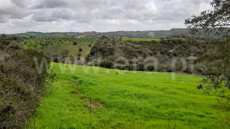 Terreno  Rio Maior, Azambujeira - 1295042 - 4