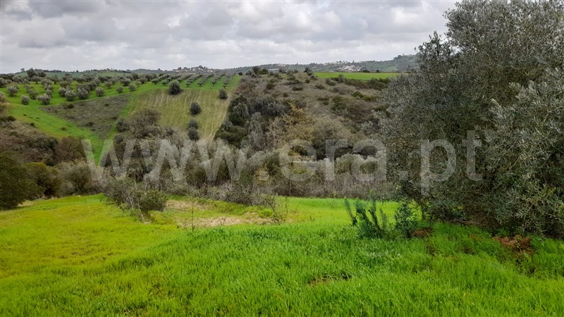 Terreno  Rio Maior, Azambujeira - 1295042 - 6