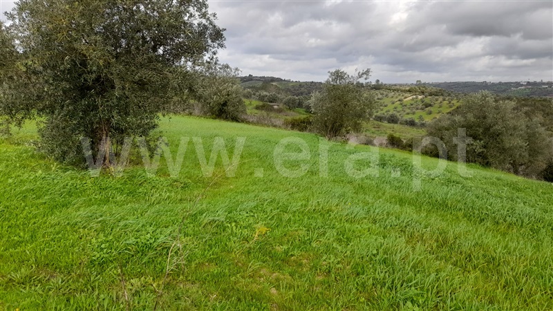 Terreno  Rio Maior, Azambujeira - 1295042 - 7