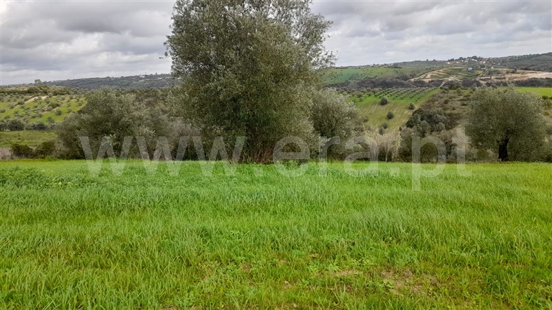 Terreno  Rio Maior, Azambujeira - 1295042 - 9