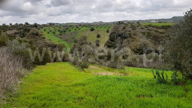 Terreno  Rio Maior, Azambujeira - 1295042 - 10