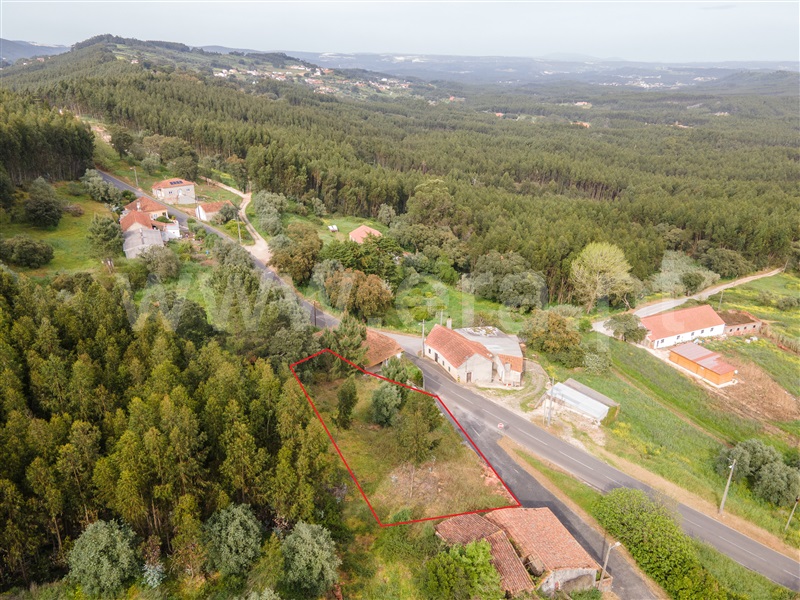 Terreno / Rio Maior, Casal da Velha