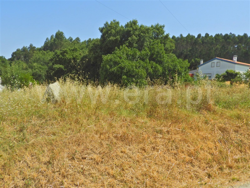 Terreno  Rio Maior - 1491304 - 3