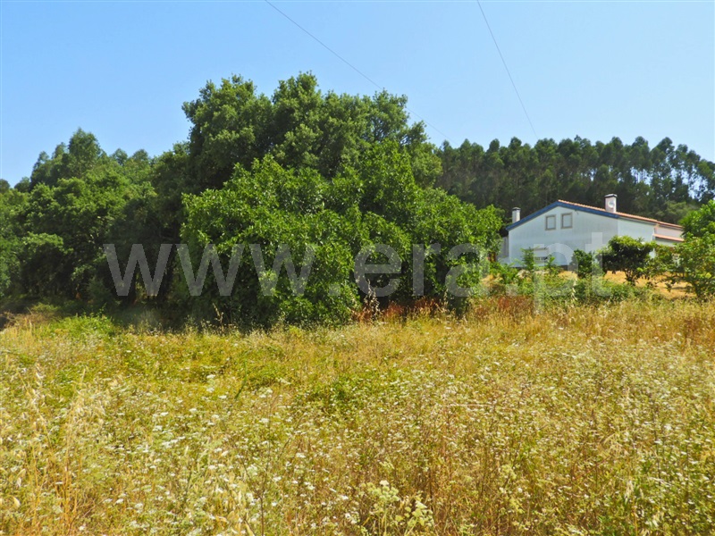 Terreno  Rio Maior - 1491304 - 4