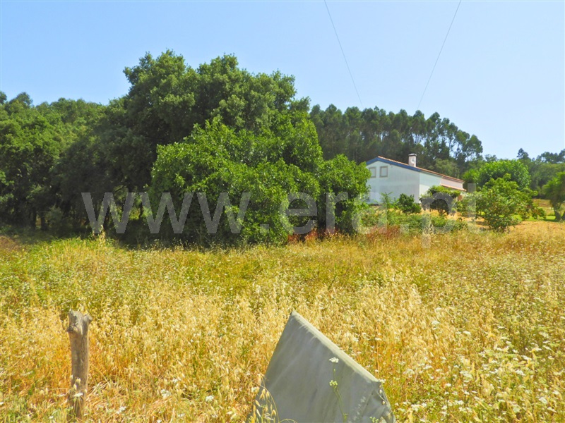 Terreno  Rio Maior - 1491304 - 5