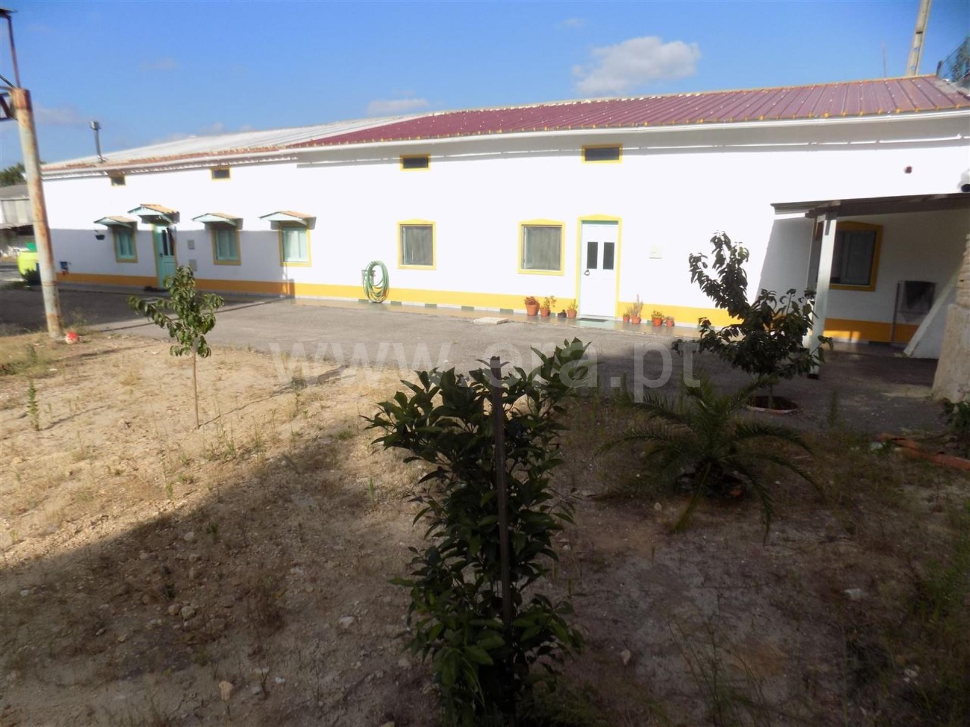 Land for sale in Rio Maior, Portugal — €2,000,000