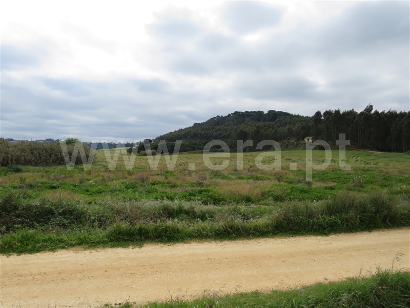 Terreno  Rio Maior, São João da Ribeira e Ribeira de São João - 1232557 - 4