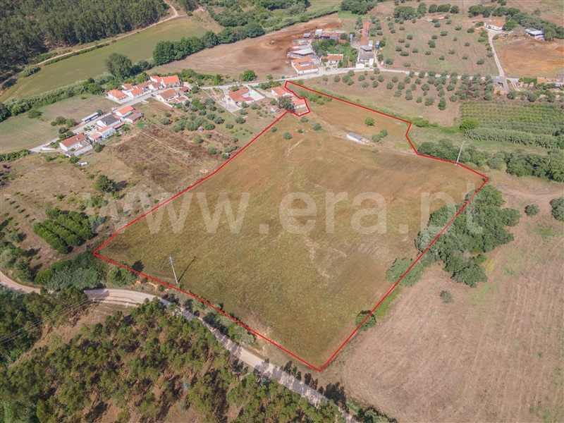 Terreno / Rio Maior, São João da Ribeira e Ribeira de São João