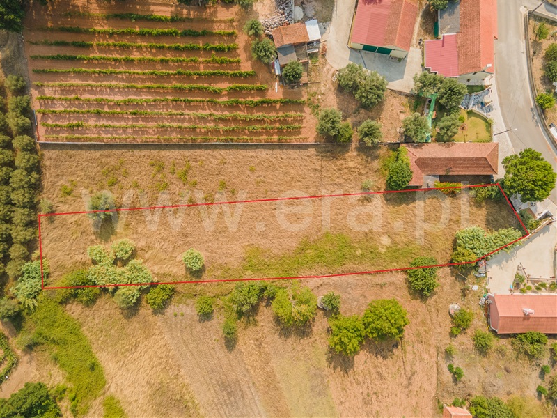 Terreno  Rio Maior, Sourões - 1345051 - 3