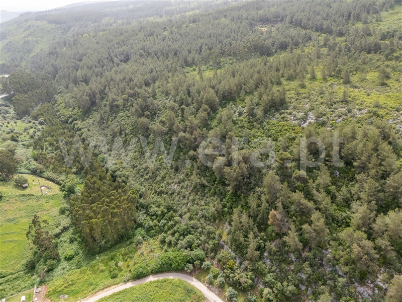 Terreno / Rio Maior, Teira