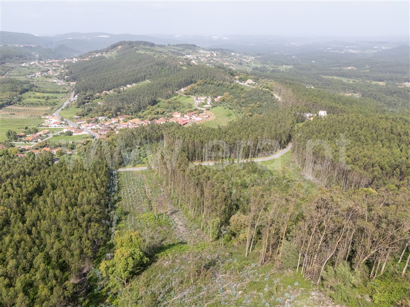 Terreno / Rio Maior, Teira