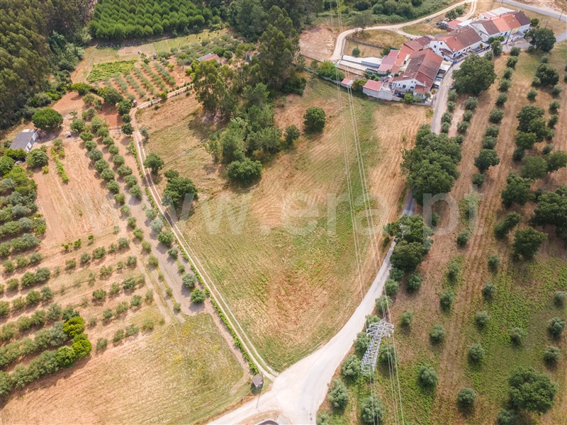Terreno / Rio Maior, Vale Óbidos