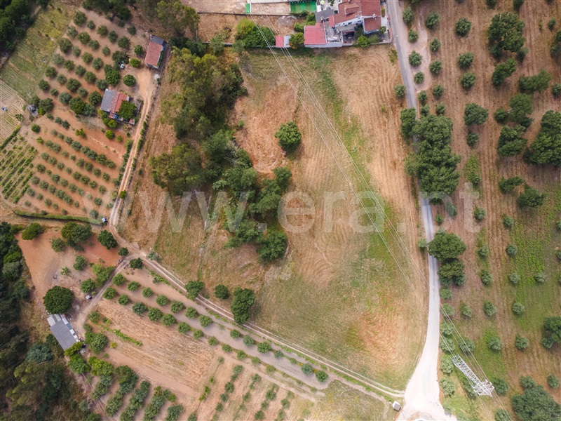 Terreno  Rio Maior, Vale Óbidos - 1484989 - 2