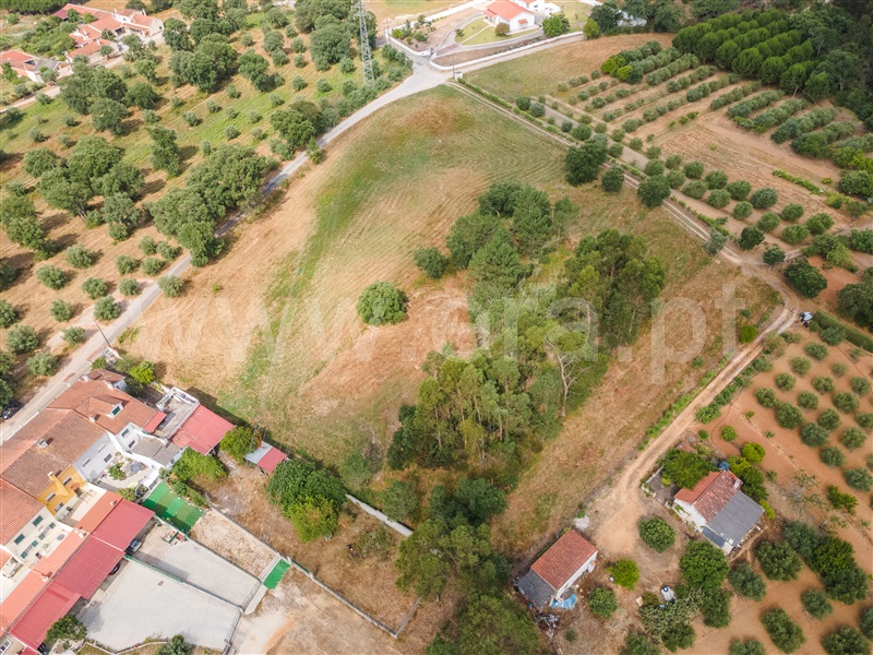 Terreno  Rio Maior, Vale Óbidos - 1484989 - 3