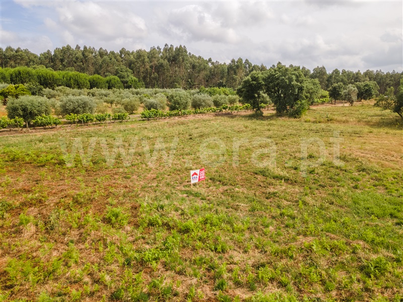 Terreno  Rio Maior, Vale Óbidos - 1484989 - 4