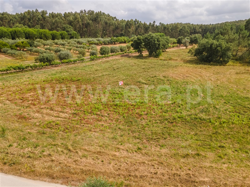 Terreno  Rio Maior, Vale Óbidos - 1484989 - 5