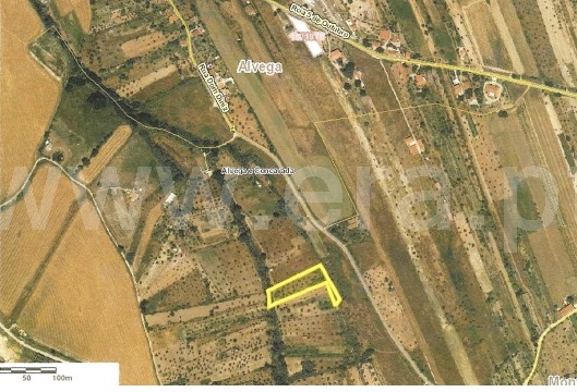 Terreno Rústico  Abrantes, Alvega - 1295431 - 5