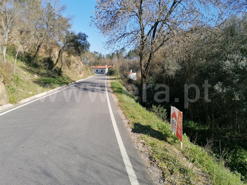 Terreno Rústico  Abrantes, Alvega - 1295432 - 2