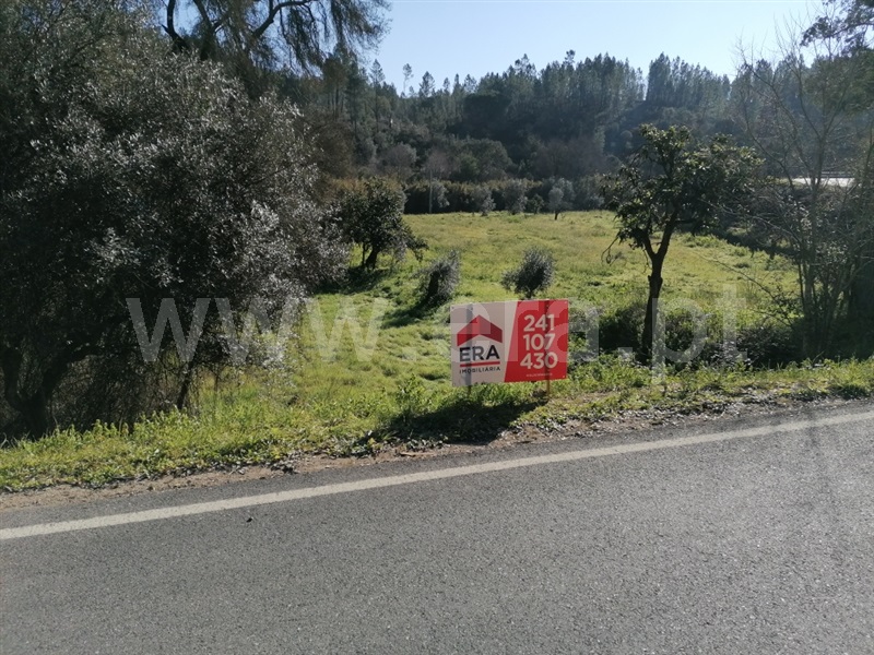 Terreno Rústico  Abrantes, Alvega - 1295432 - 3