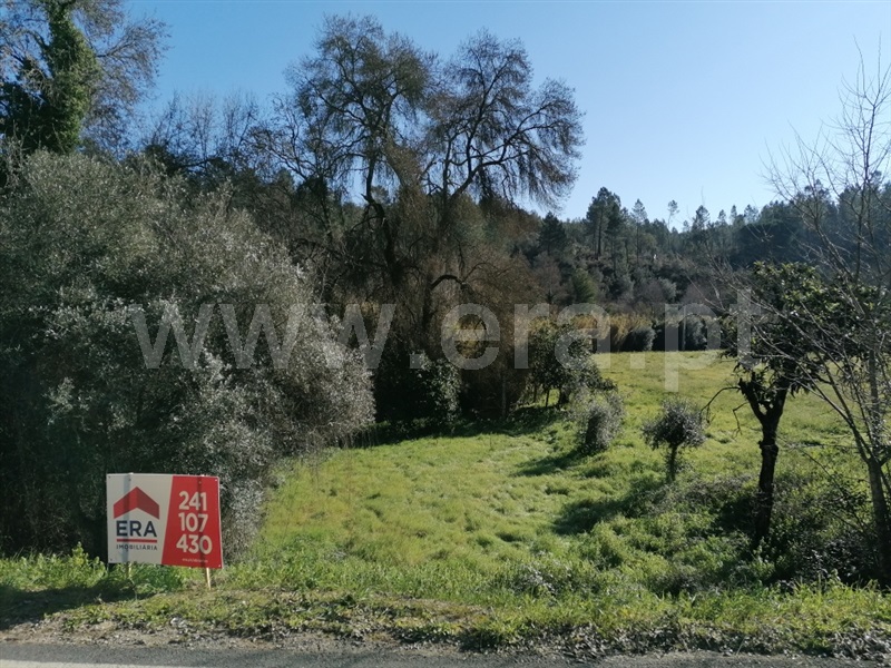 Terreno Rústico  Abrantes, Alvega - 1295432 - 6