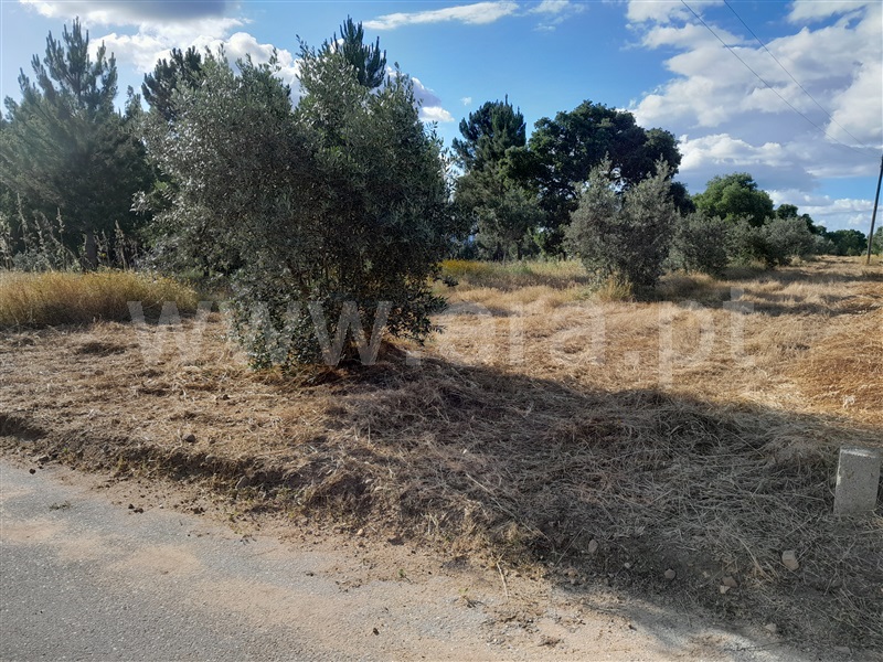 Terreno  Abrantes, Martinchel - 1407183 - 2