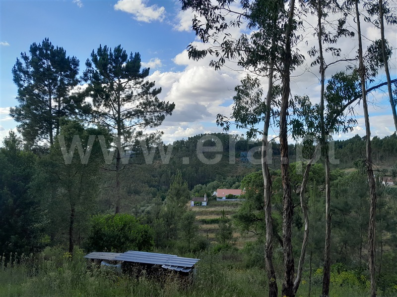 Terreno  Abrantes, Martinchel - 1407183 - 6