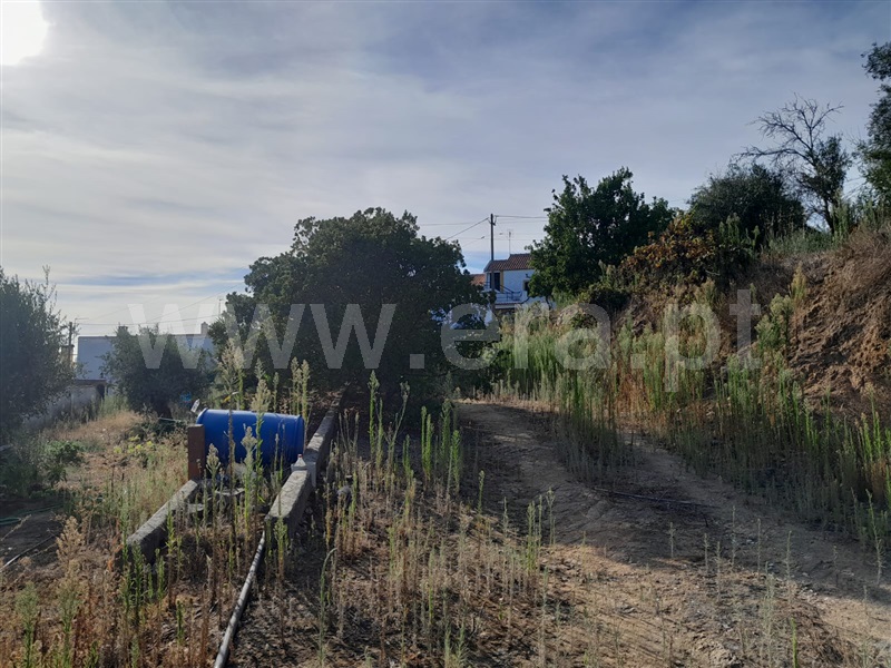 Terreno Rústico  Abrantes, Maxial - 1346528 - 8