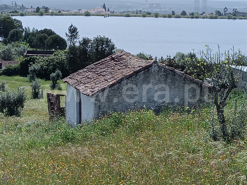 Terreno  Abrantes, Mouriscas - 1318577 - 2