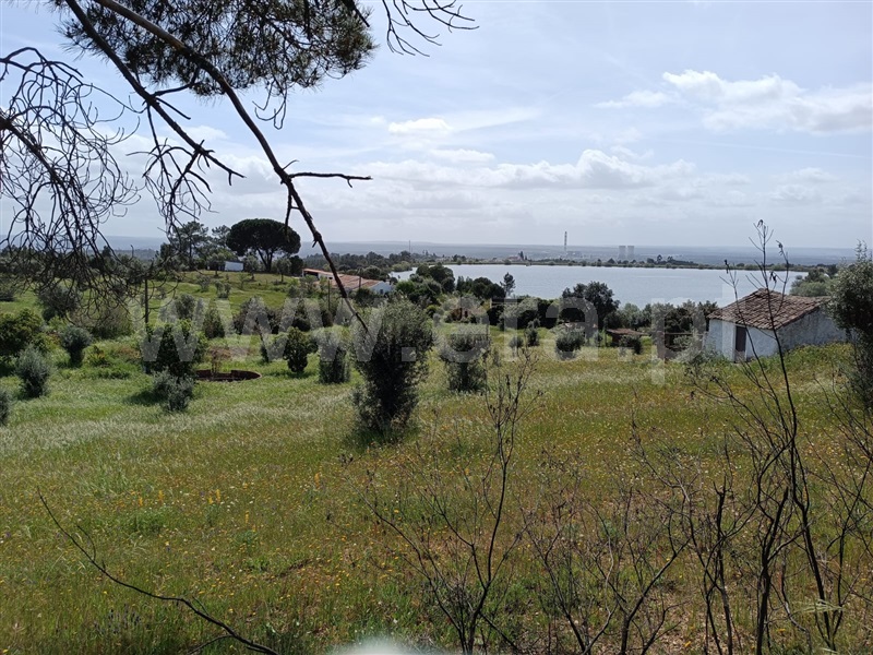Terreno  Abrantes, Mouriscas - 1318577 - 3